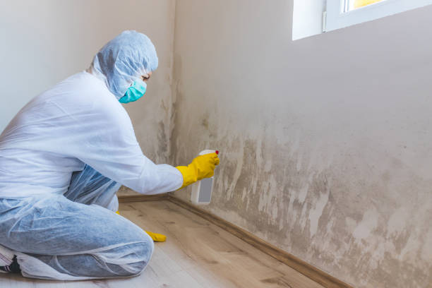 Licensed Mold Remediation service in Helmetta, NJ - 24 Hour Mold Removal