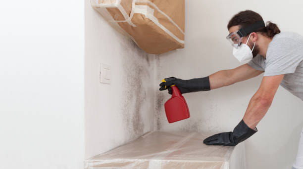 Professional Mold Remediation technician working in Helmetta, NJ