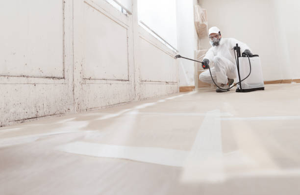 24/7 Emergency Mold Remediation experts in Helmetta, NJ