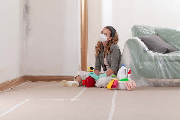 Reliable Mold Remediation contractor in Helmetta, NJ by 24 Hour Mold Removal